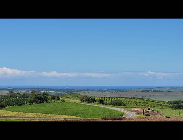 134HA FARM FOR SALE IN BALLITO RURAL